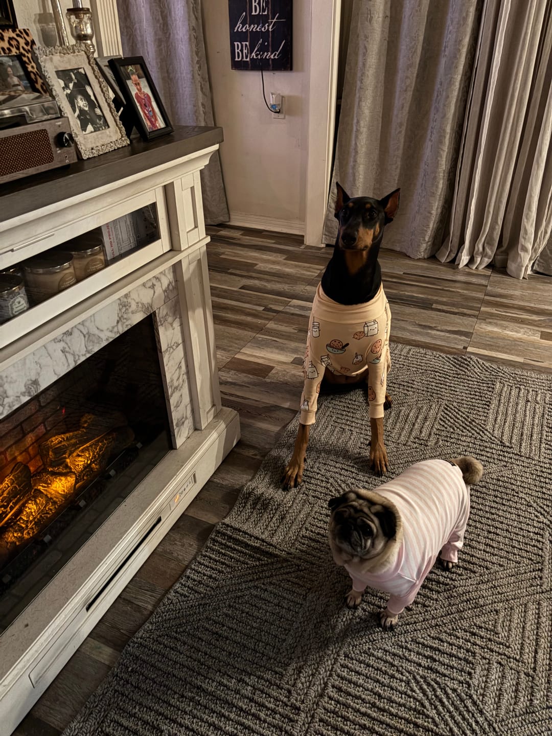 Customer photo review of Dog Pajama - Cookies and Milk