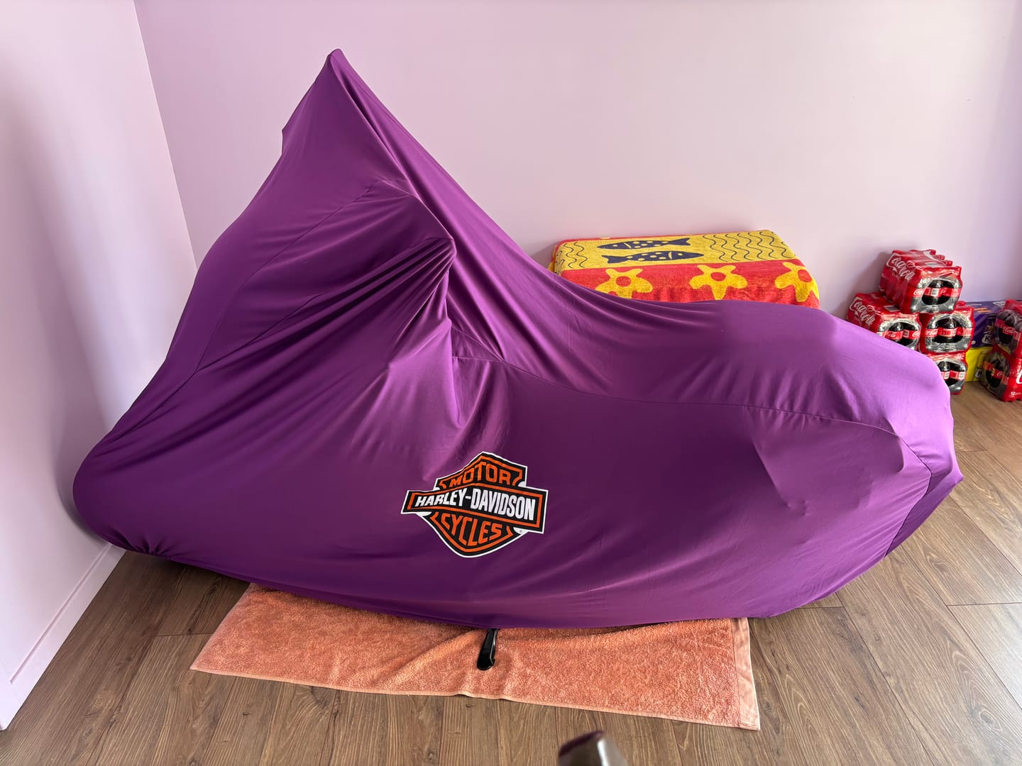 Customer photo review of Indoor Custom Motorcycle Covers