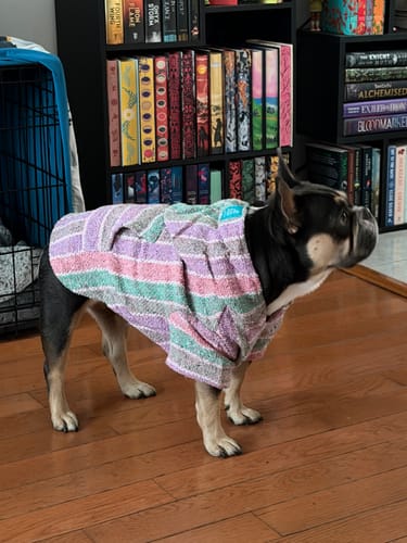 Customer photo review of Playa Poncho – Mystery Color (Bella, Charlie, or Fun Edition)