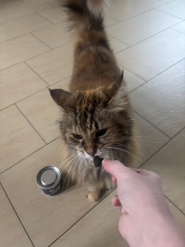 Customer photo review of Patsli® Move