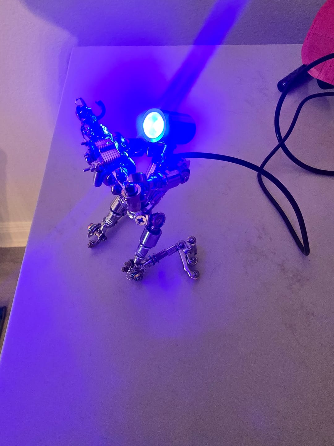 Customer photo review of Terminator M