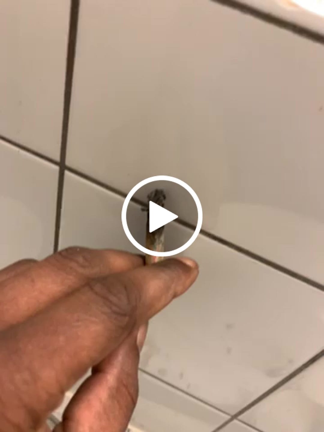 Customer video review of 🍃 Blütenmix - POWER LVL: 4/5