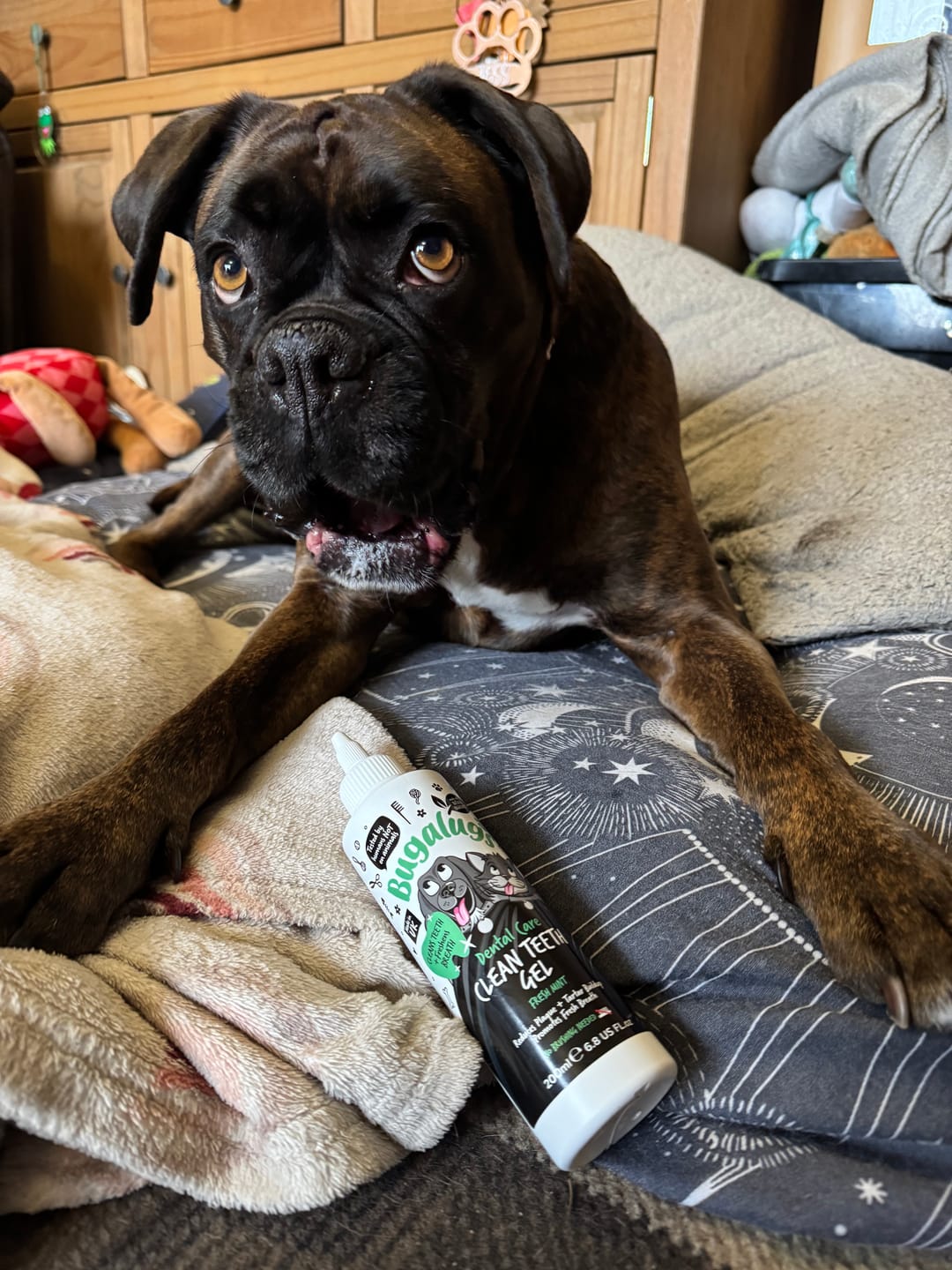 Customer photo review of Dental Care Clean Teeth Gel with Fresh Mint for Dogs & Cats