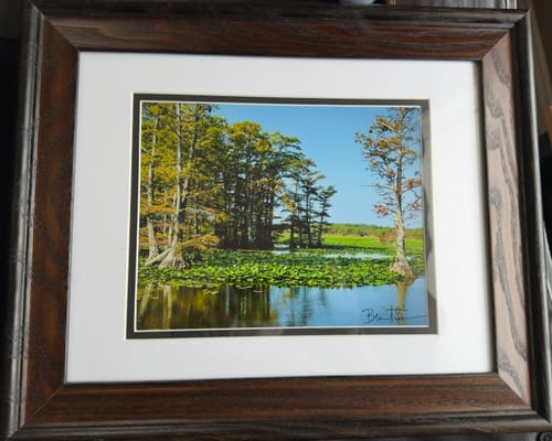 Customer photo review of 8x10 Photo Prints