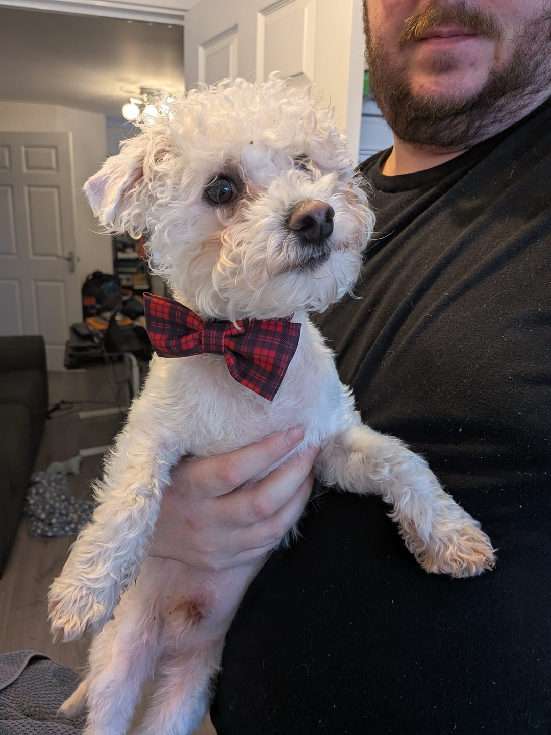 Customer photo review of Bow Tie - The Red Tartan One