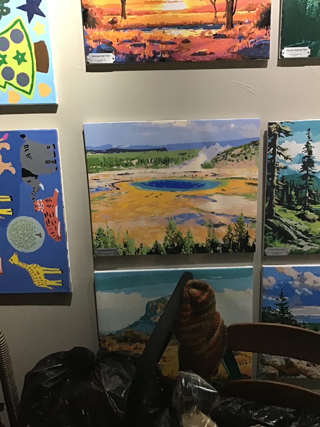 Customer photo review of Yellowstone National Park