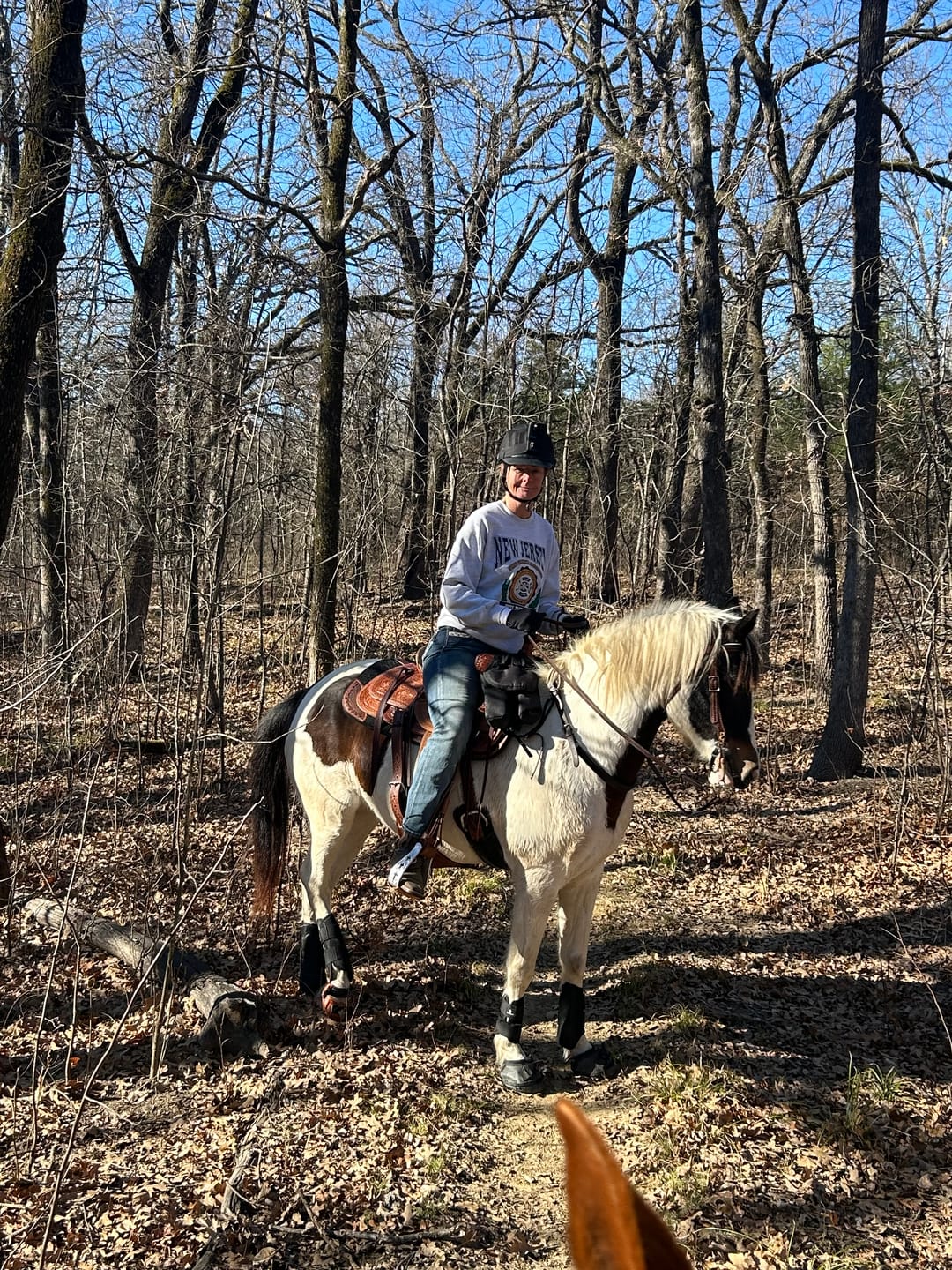 Customer photo review of Renegade® Viper Shield™ Hoof Boot - Arizona Copper
