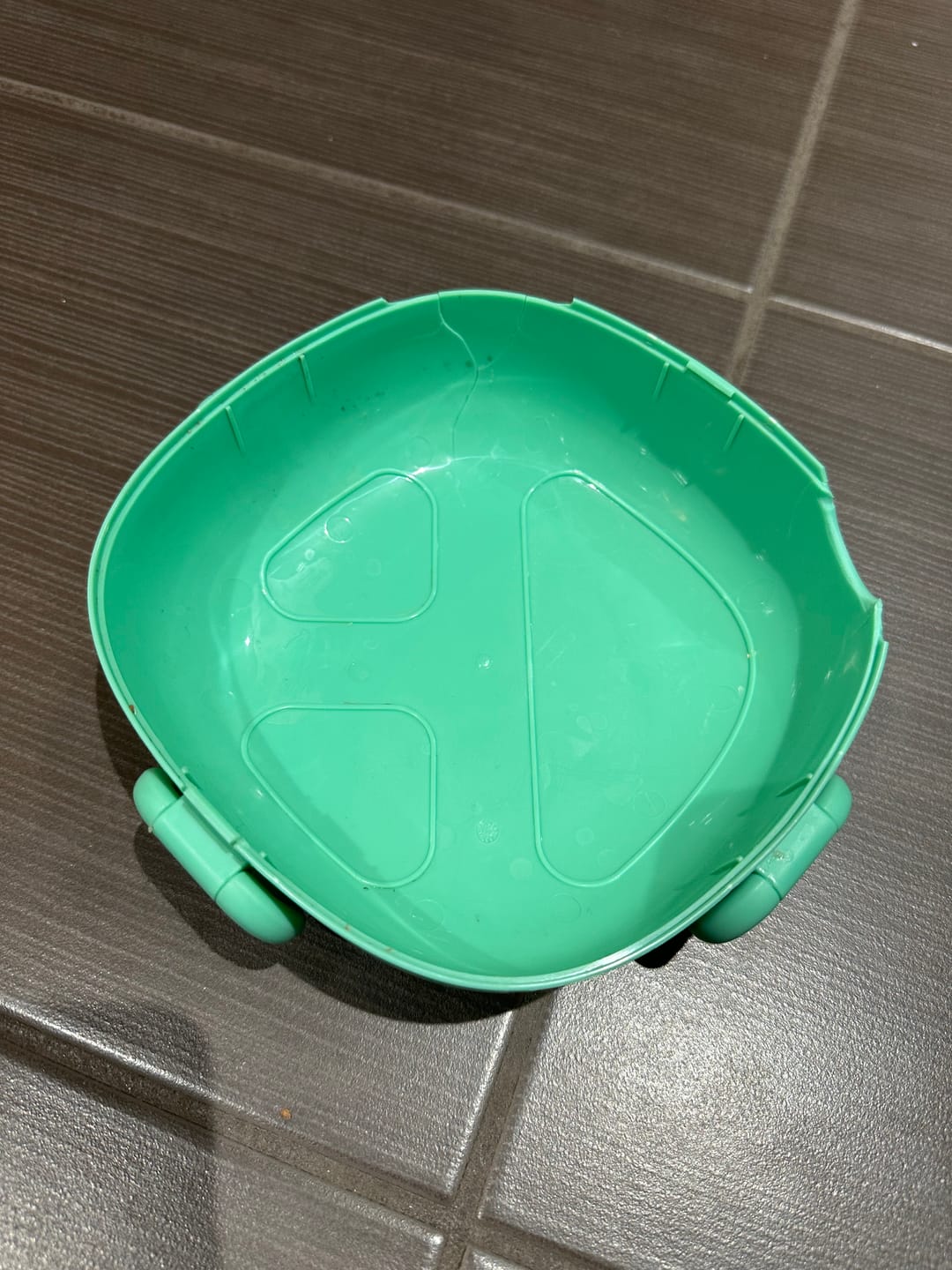 Customer photo review of Bento Box | Berry