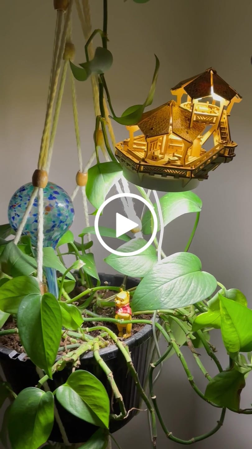 Customer video review of Island Cabana + Grow Light