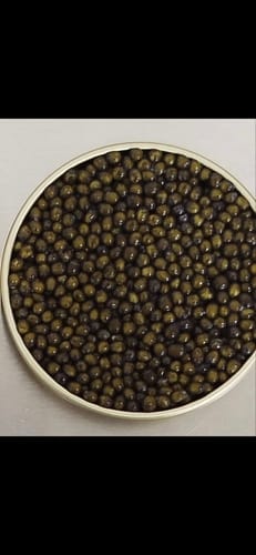 Customer photo review of "Russian Czar" Beluga Sturgeon Caviar