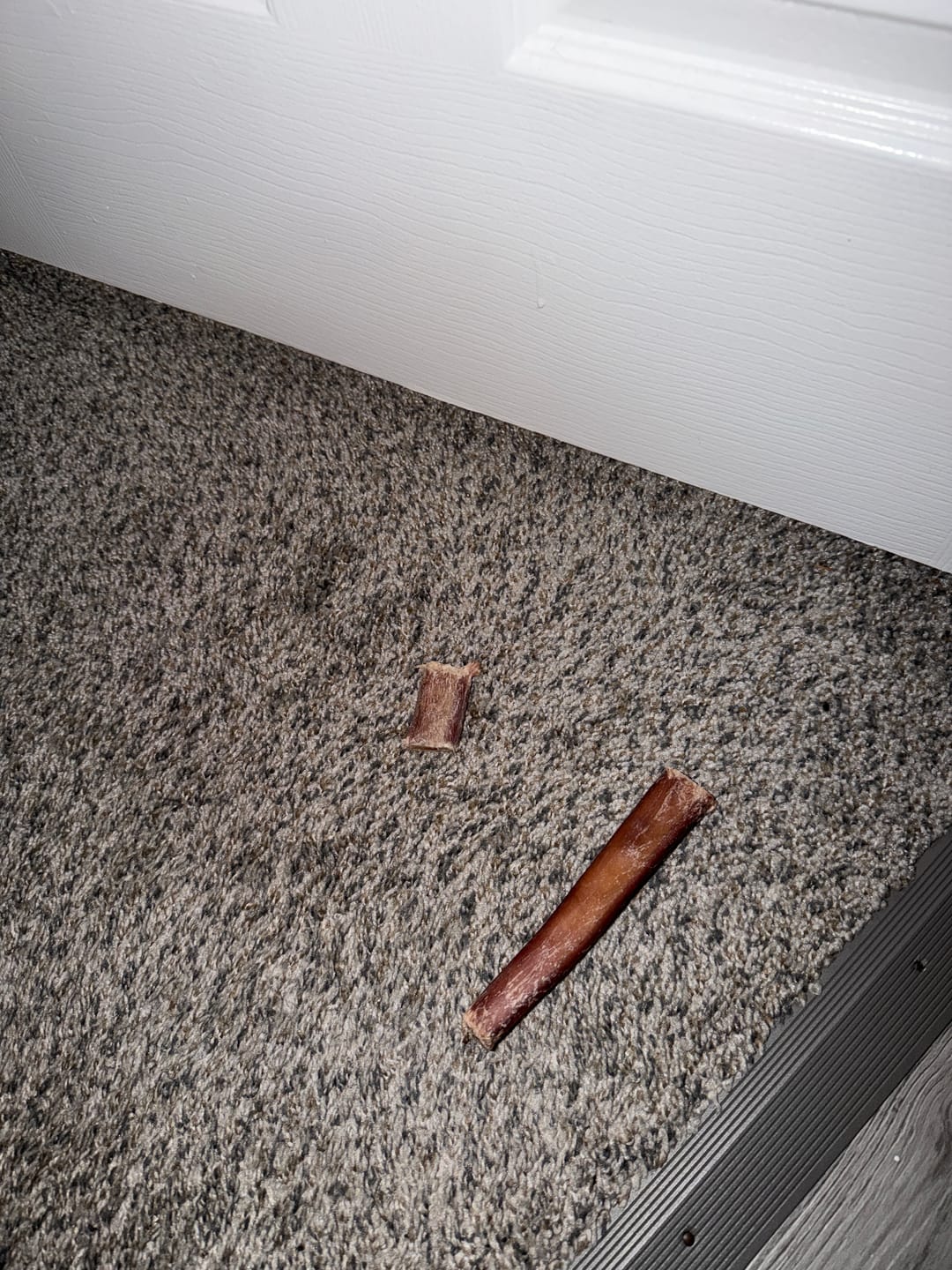 Customer photo review of 6 Inch Jumbo Bully Stick