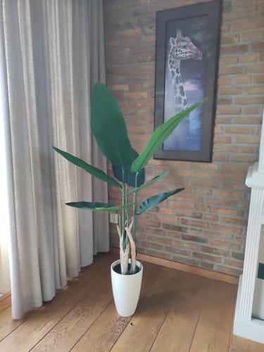 Customer photo review of Strelitzia Kunstplant 120cm