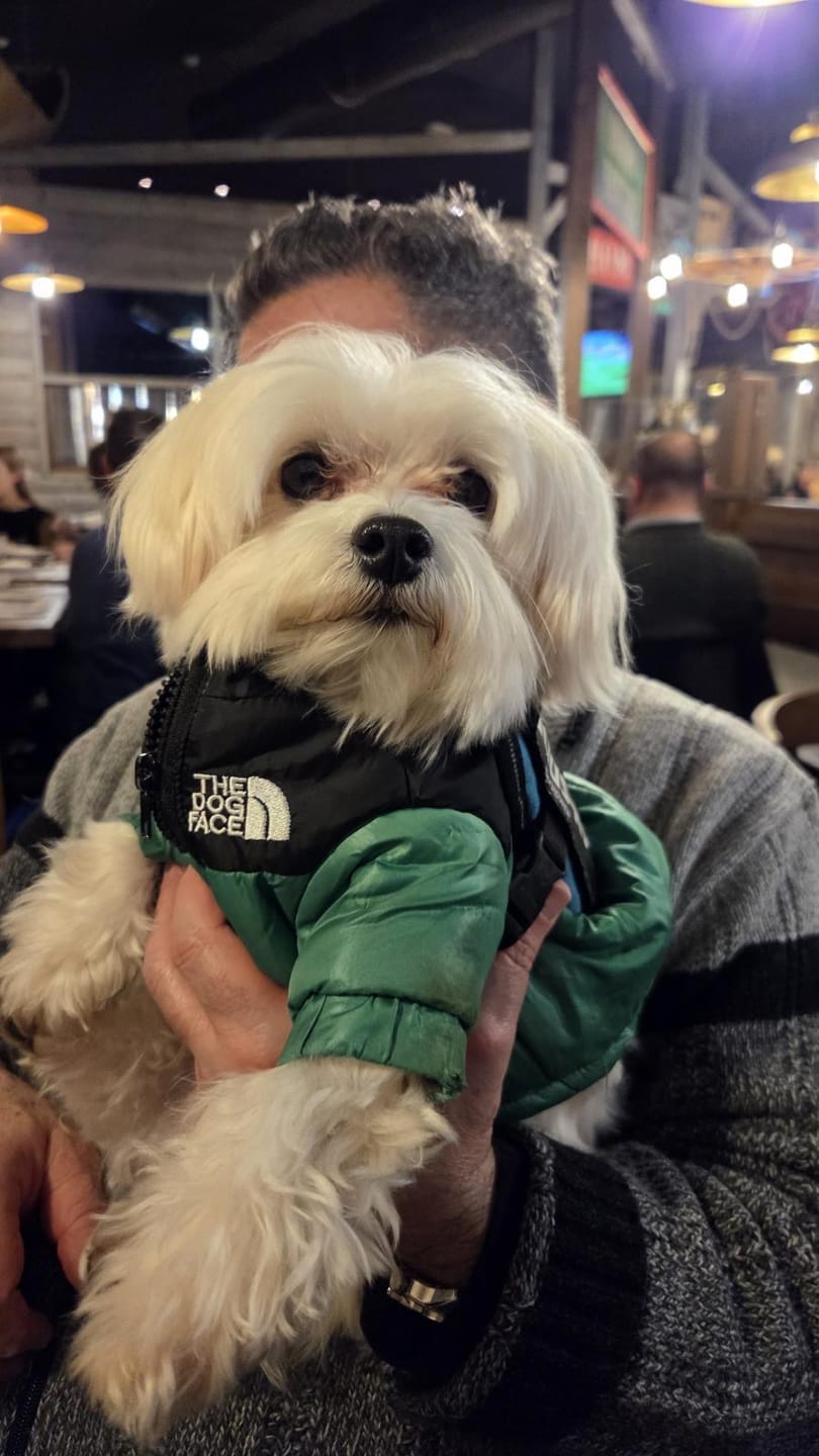Customer photo review of The Dog Face Piumino