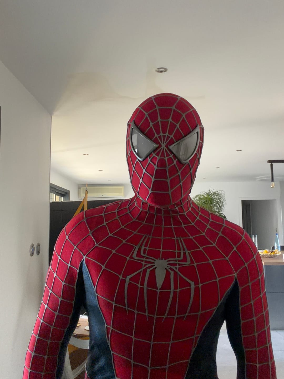 Customer photo review of Tailor made!  Tobey Maguire Spider-Man Life Size Wearable Costume