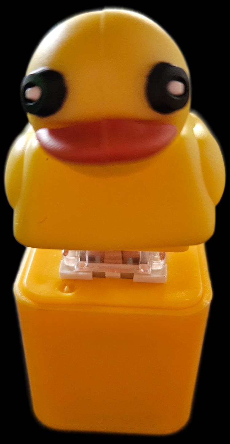 Customer photo review of 2x Quaking Sound Duck Fidget Keychain