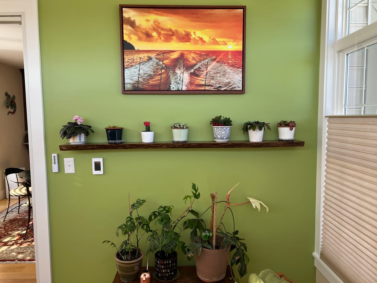 Customer photo review of Live Edge Walnut Floating Shelves