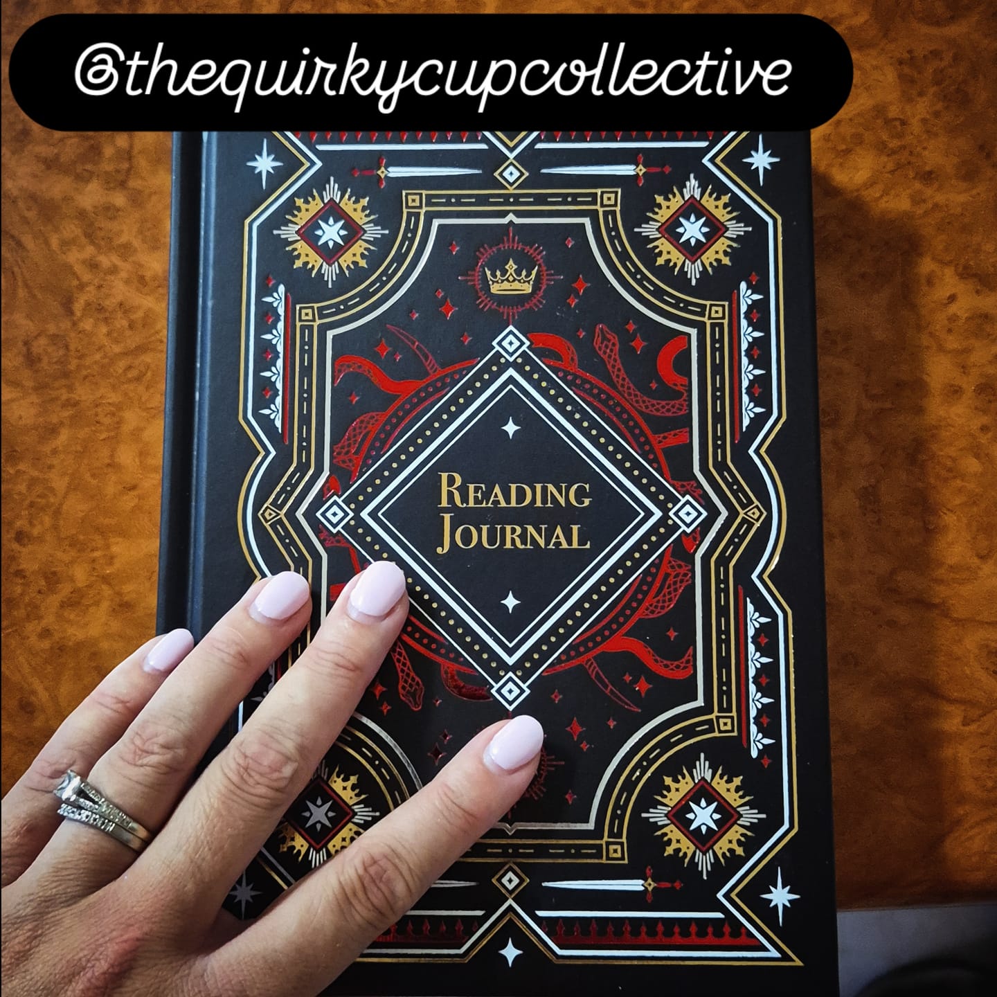 Customer photo review of Reading Journal - Serpents & Swords
