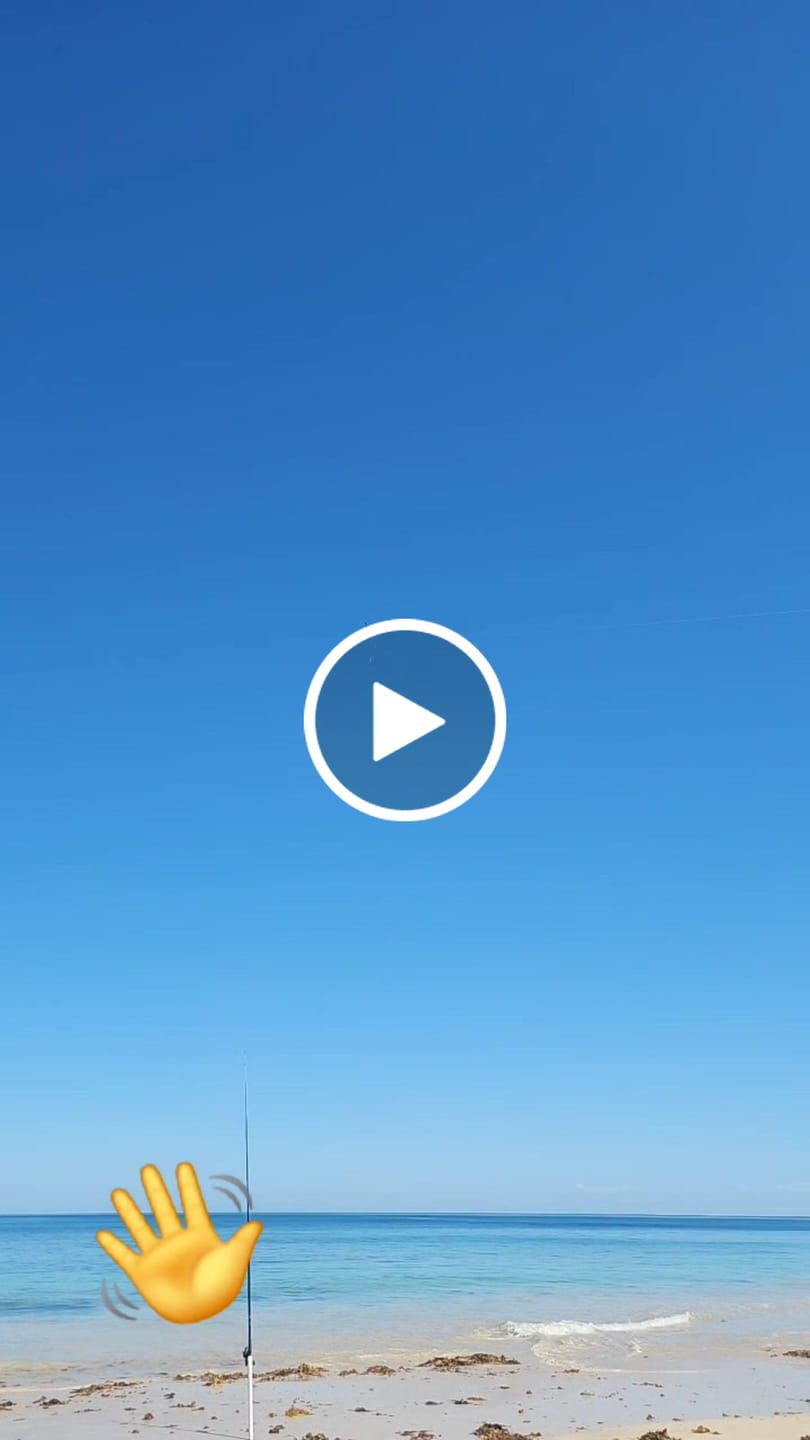 Customer video review of Spare Propellers (Set of 4)