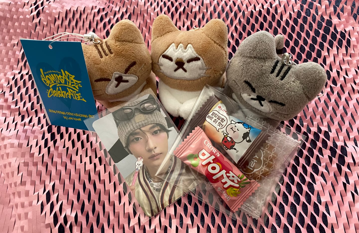 Customer photo review of Stray Kids [dominATE : celebrATE] SOON-DOONG-DORI Keyring by Lee Know