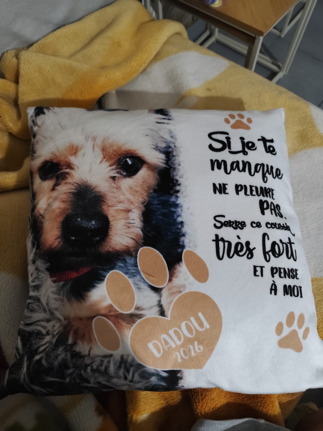 Customer photo review of Si je te manque - Coussin personnalisé