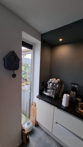 De donkere moderne koekoeksklok van een recensent aan de muur in de keuken.