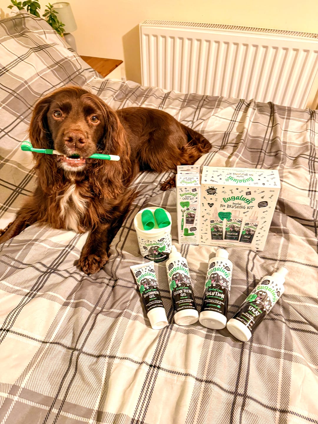 Customer photo review of Dental No Brushing Kit for Dogs & Cats