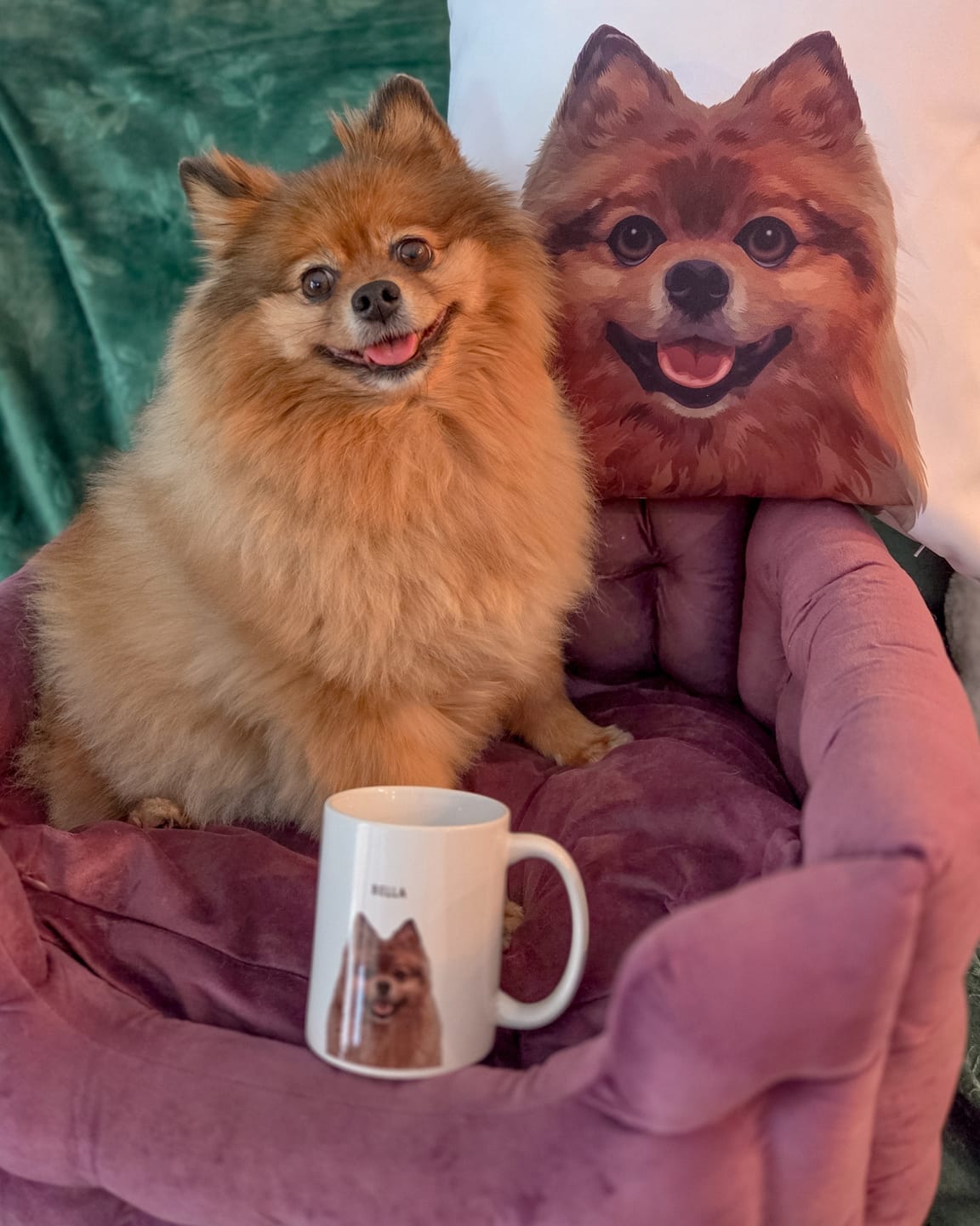 Customer photo review of Custom Pet Portrait Mug
