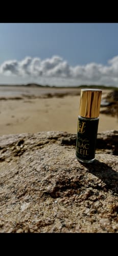 Customer's small Tabac Soleil perfume bottle standing on a large rock with a beach in the background.