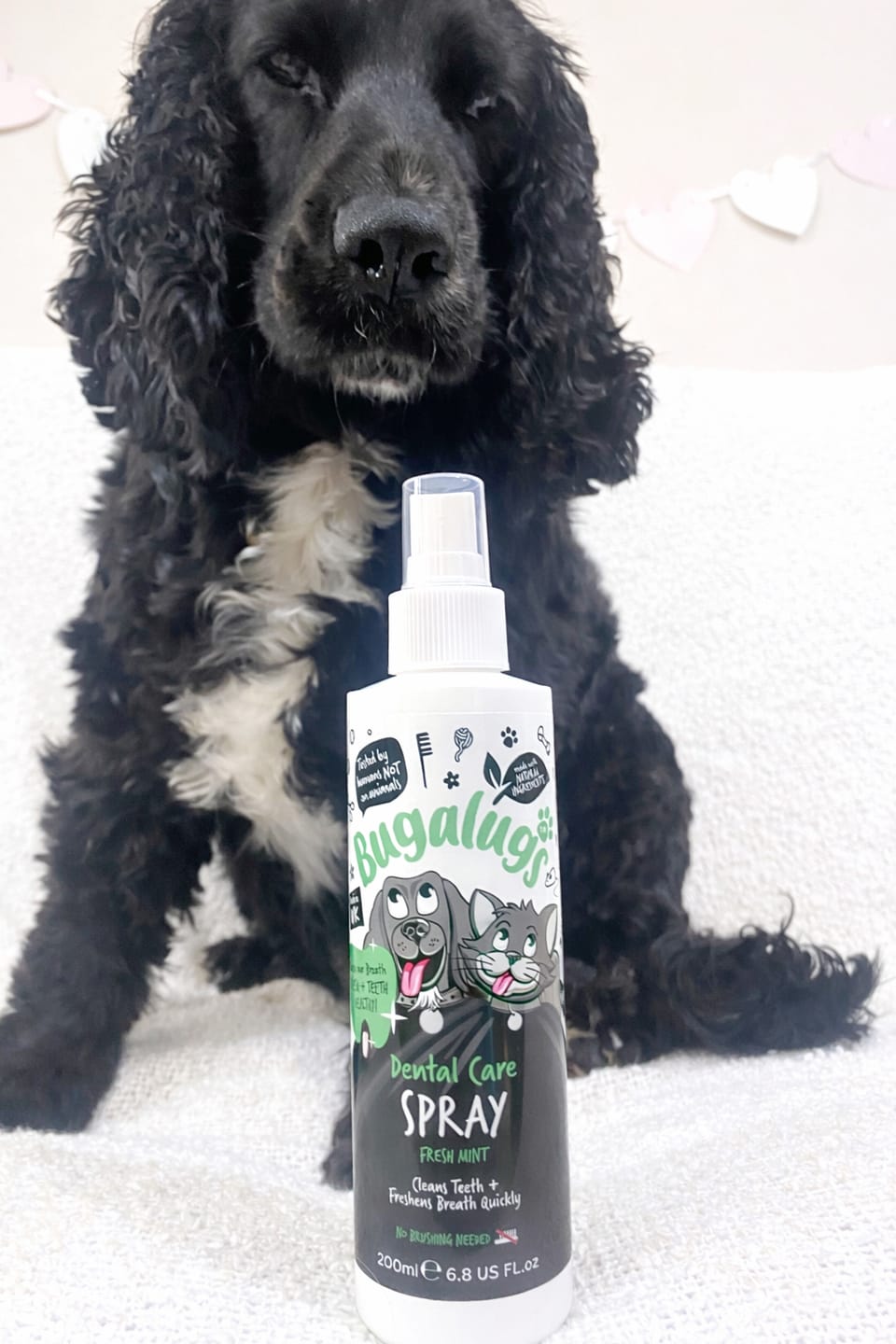 Customer photo review of Dental Care Clean Teeth Gel with Fresh Mint for Dogs & Cats