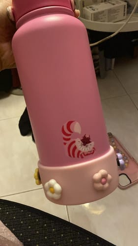 Customer photo review of Disney Cats Ace Bottle Mega