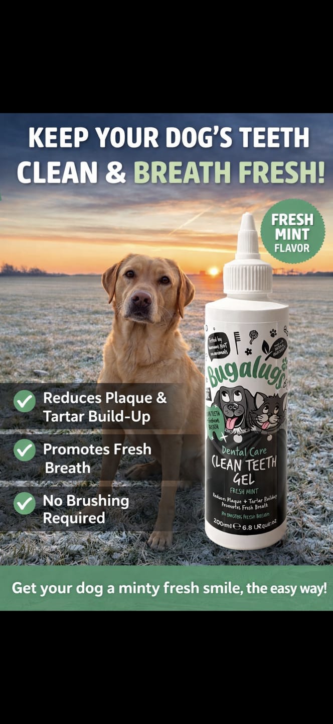 Customer photo review of Dental Care Clean Teeth Gel with Fresh Mint for Dogs & Cats