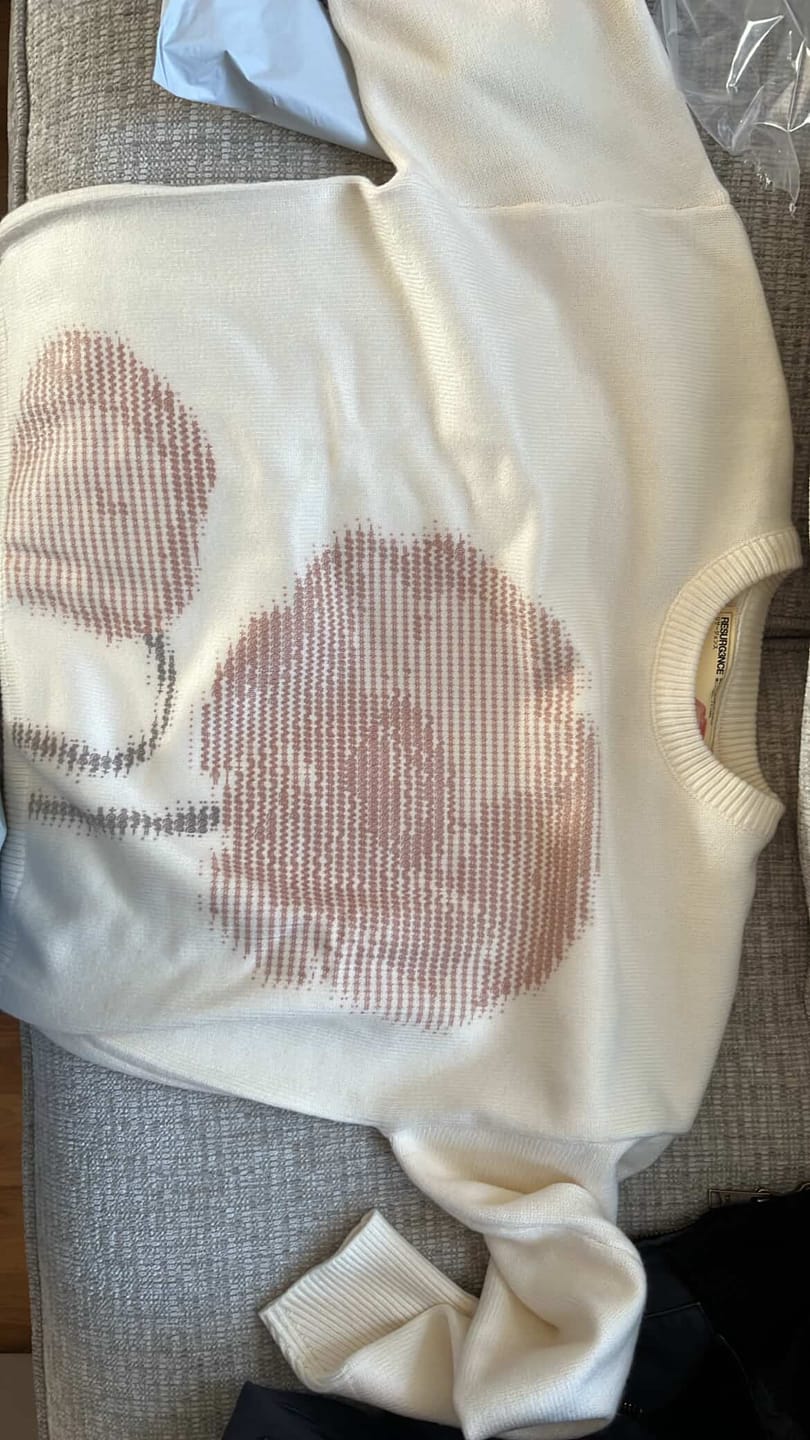 Customer photo review of Yume Knit Sweater