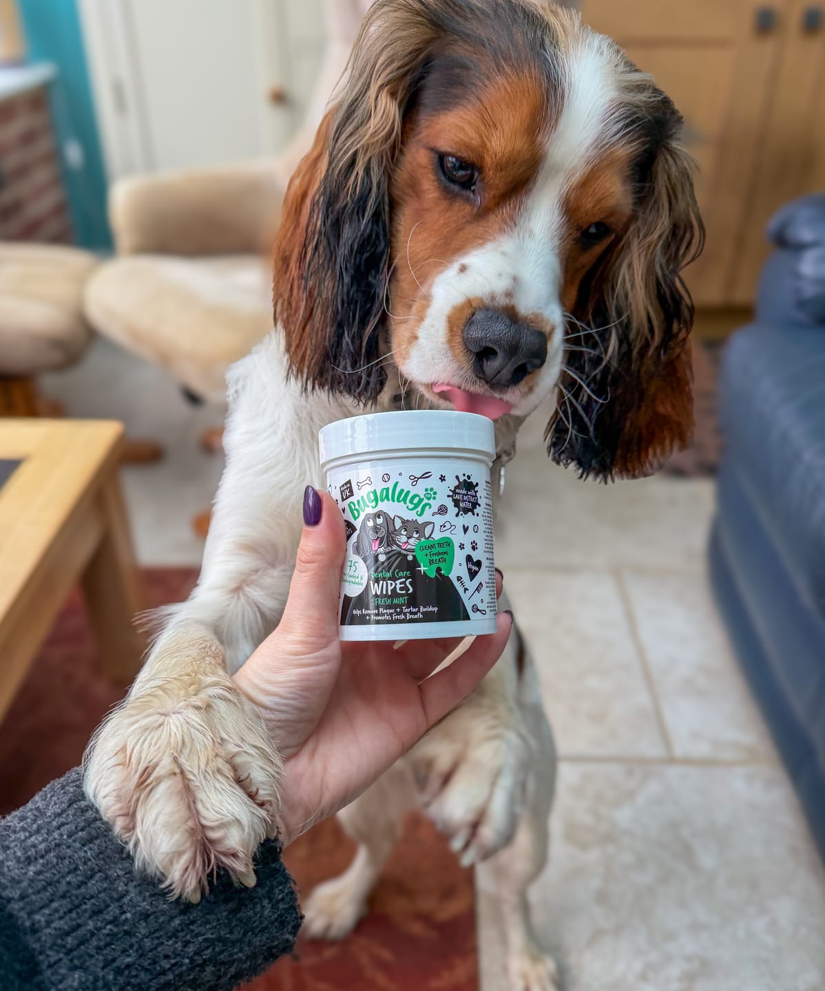 Customer photo review of Dental Care Wipes in Fresh Mint for Dogs & Cats