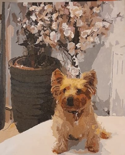 Customer photo review of Custom Pet Paint By Numbers