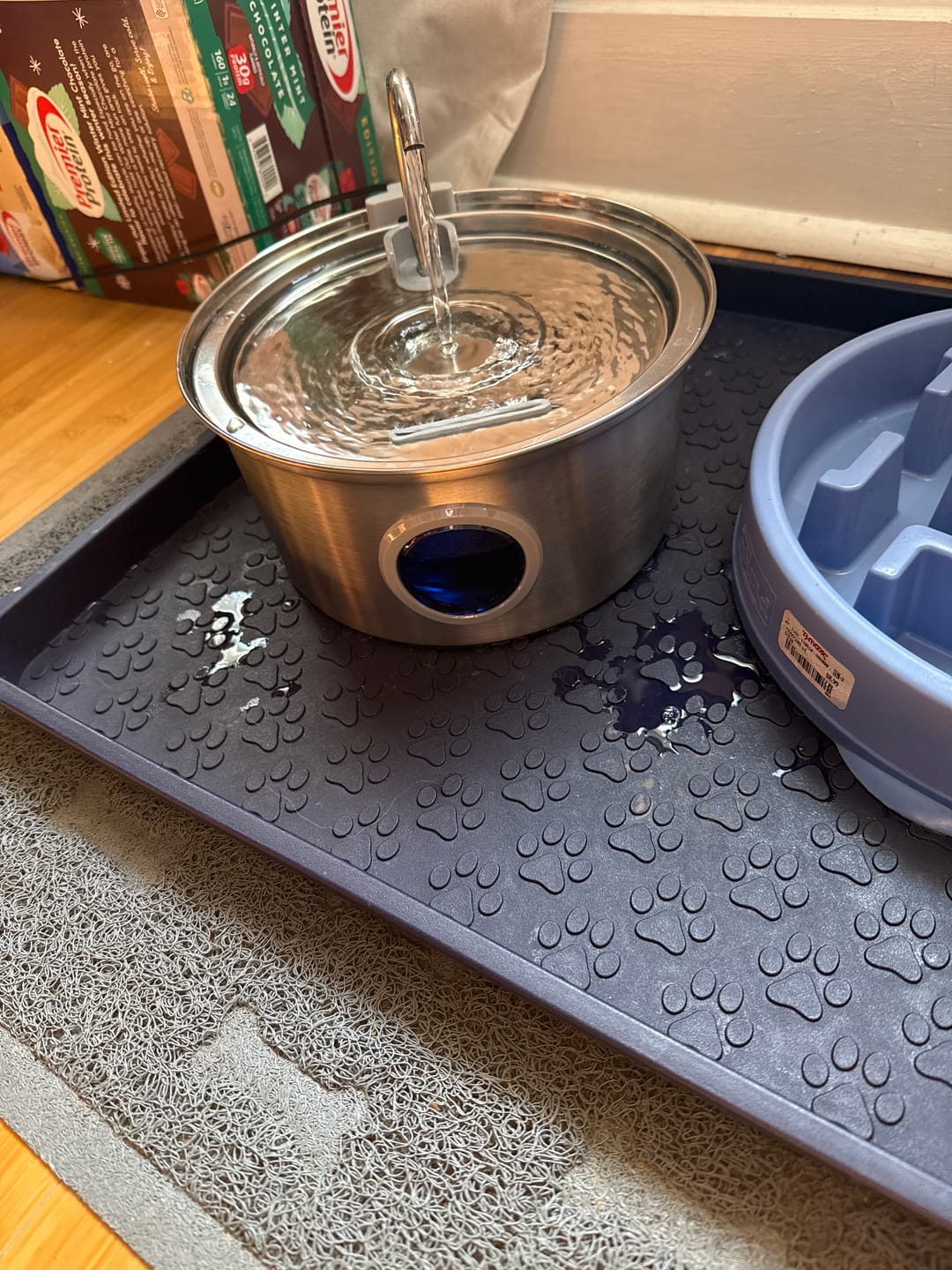 Customer photo review of Pawdrate™ Filtered Water Fountain