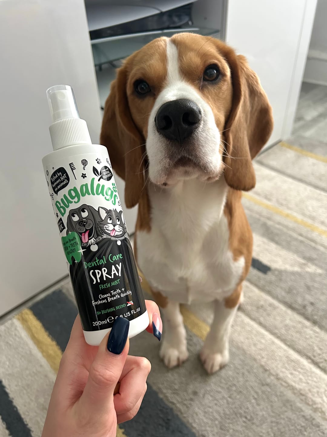 Customer photo review of Dental Care Spray in Fresh Mint for Dogs & Cats
