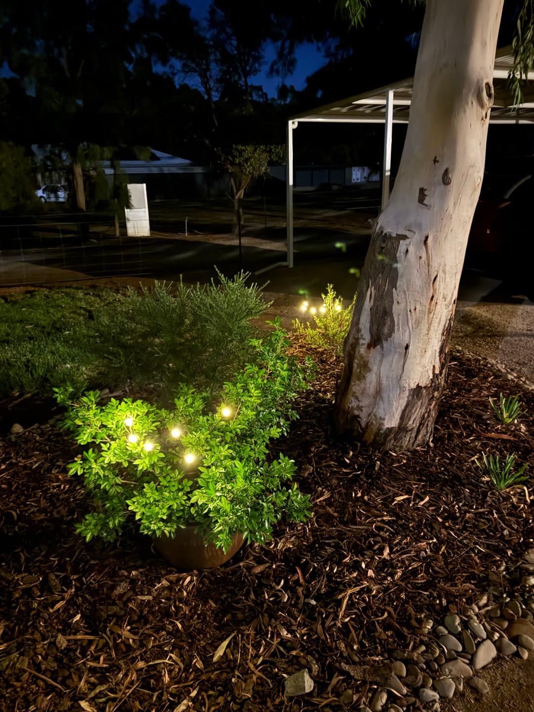 Customer photo review of GardenBrite™ Solar Firefly Lights