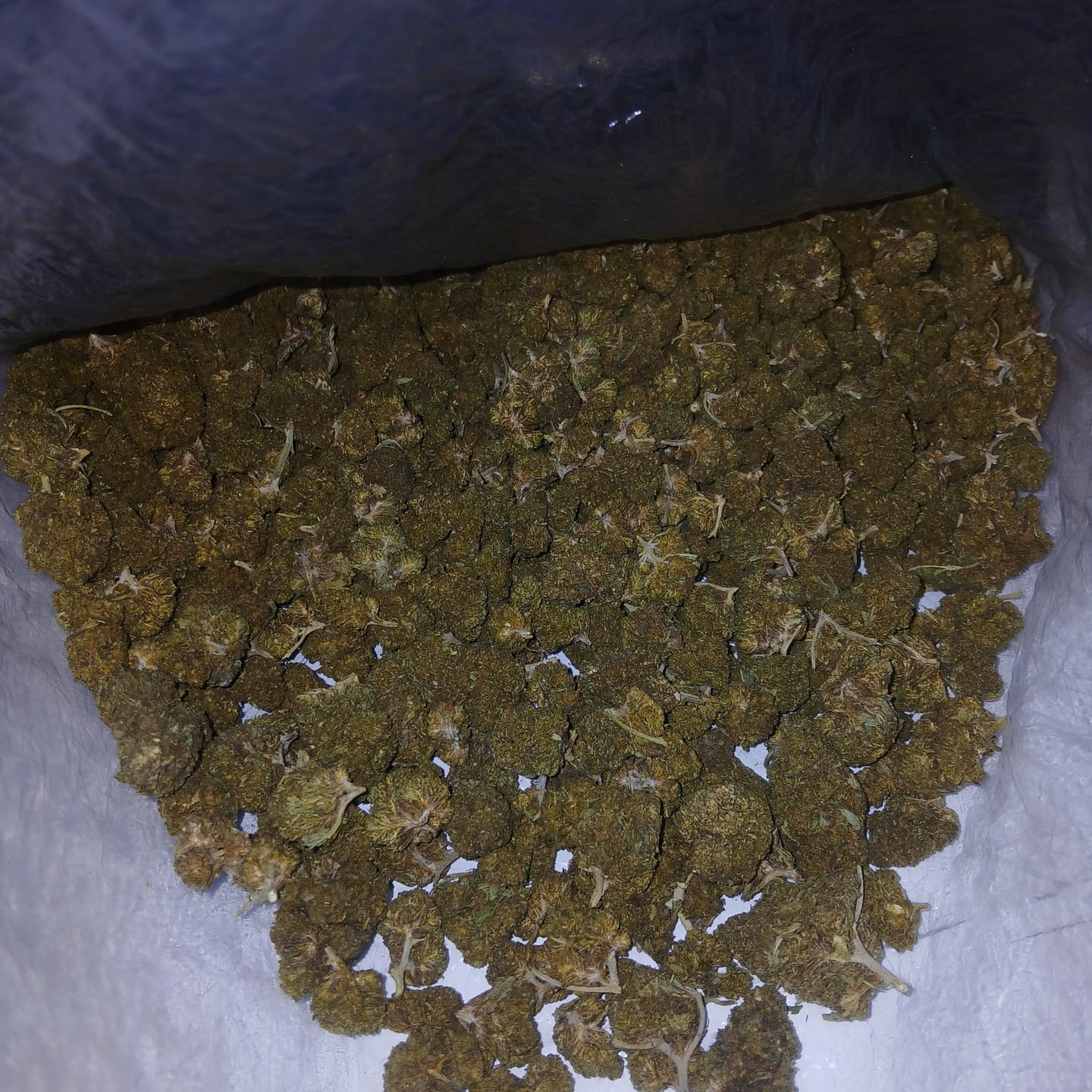 Customer photo review of Wedding Crasher THCA Flower LB