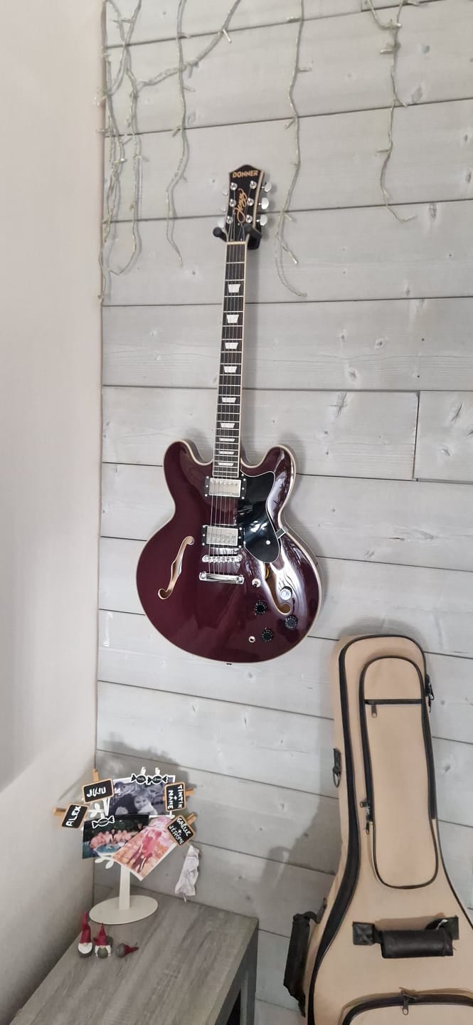 Customer photo review of Donner DJP-1000 Guitare Jazz Demi-Caisse