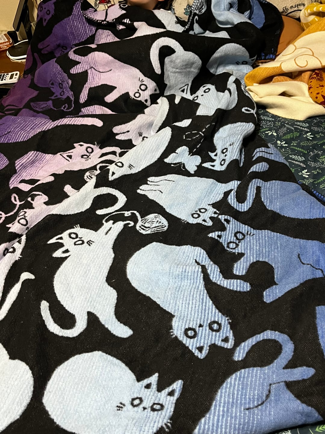 Customer photo review of Cutie Cats ‘Dawn’ Brushed Cotton Blanket