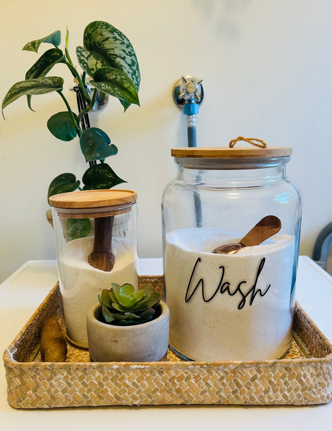 Customer photo review of Zero Waste Bundle (Scoop Included)