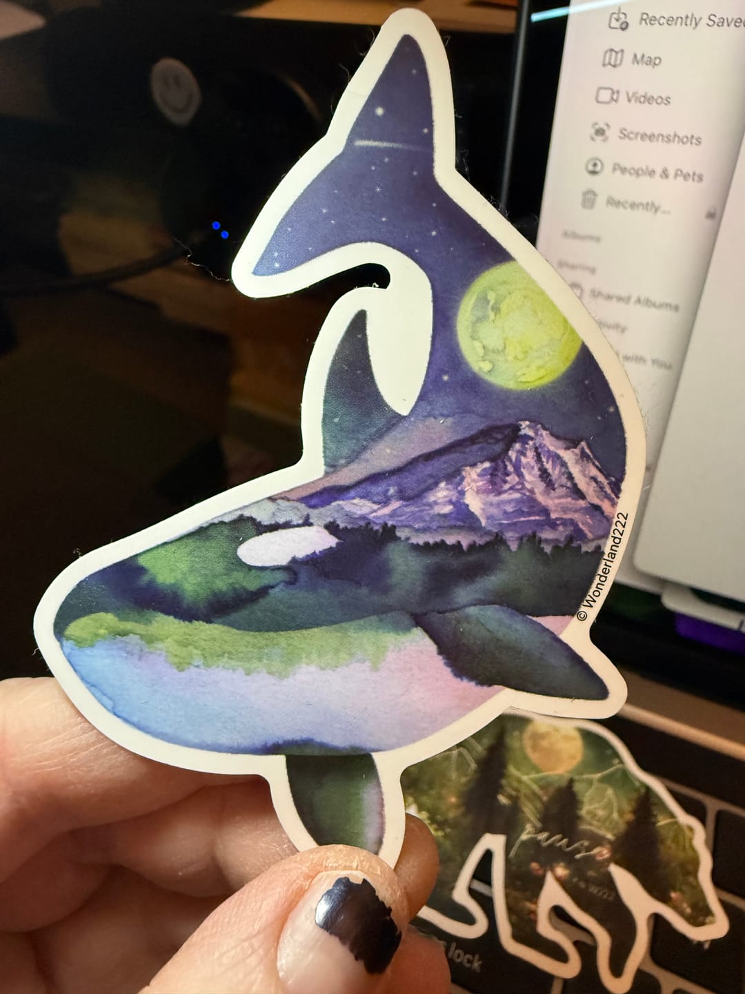 Customer photo review of Wonderland 222 Vinyl Stickers