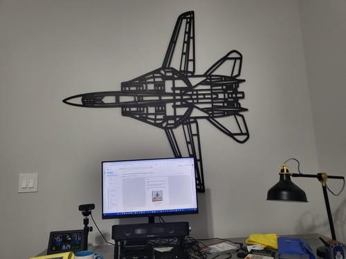Customer photo review of F-14D Tomcat Top Metal Aircraft Wall Art - NCP0560