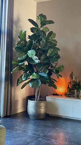 Customer photo review of Ficus Kunstplant 180cm