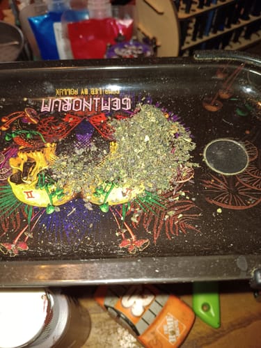 Customer photo review of Sugar Shake - 1oz