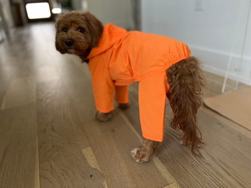 Customer photo review of Nylon Coverall