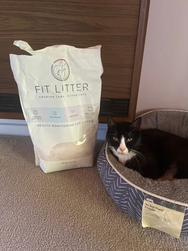 Customer photo review of 3 Month Supply - 1 Cat
