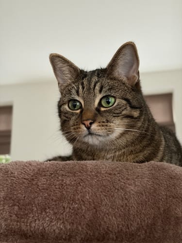 Customer photo review of Aquarel Portret op Tegel - Upload je eigen foto