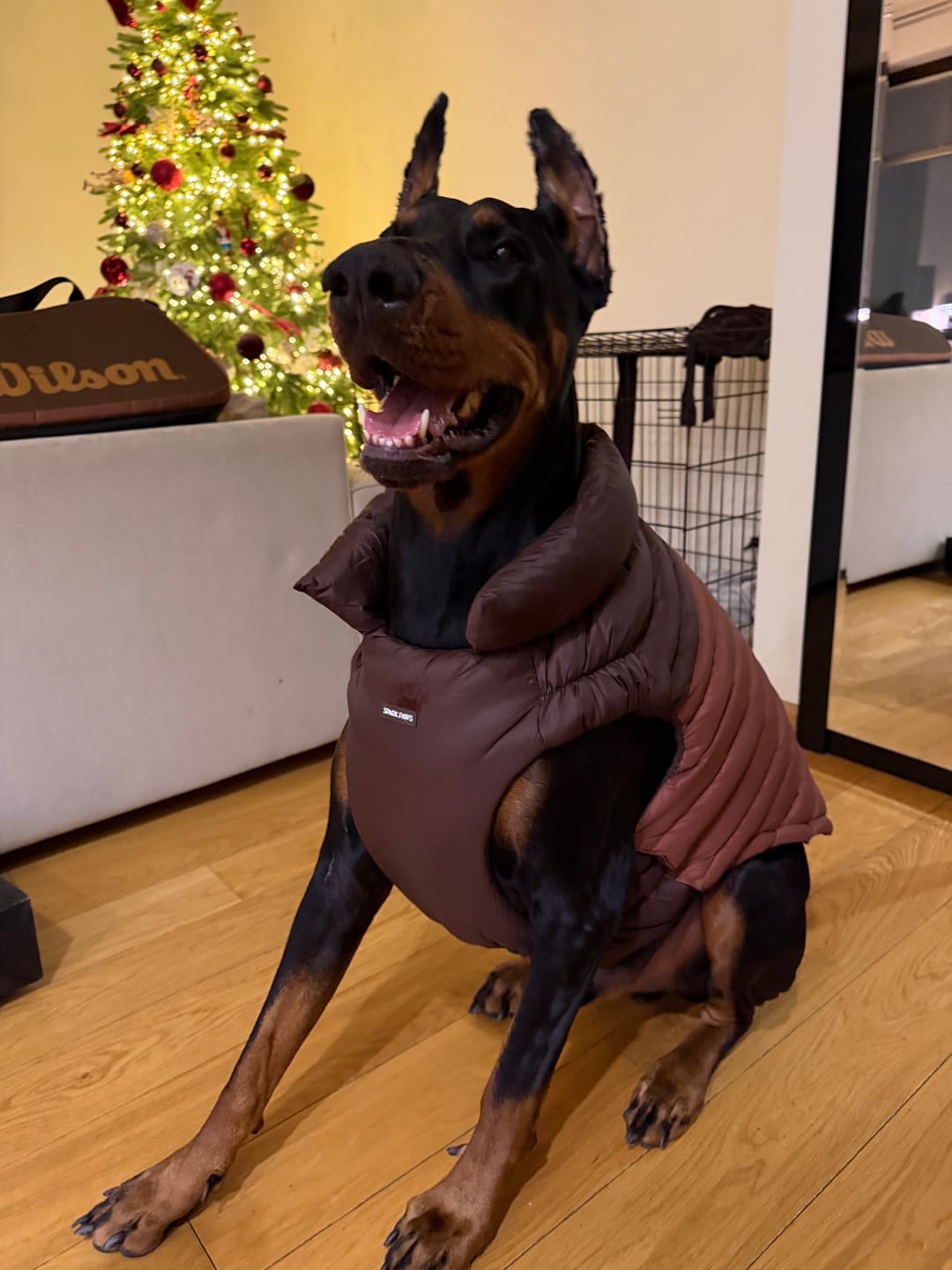 Customer photo review of PuffShield Winter Jacket - Brown