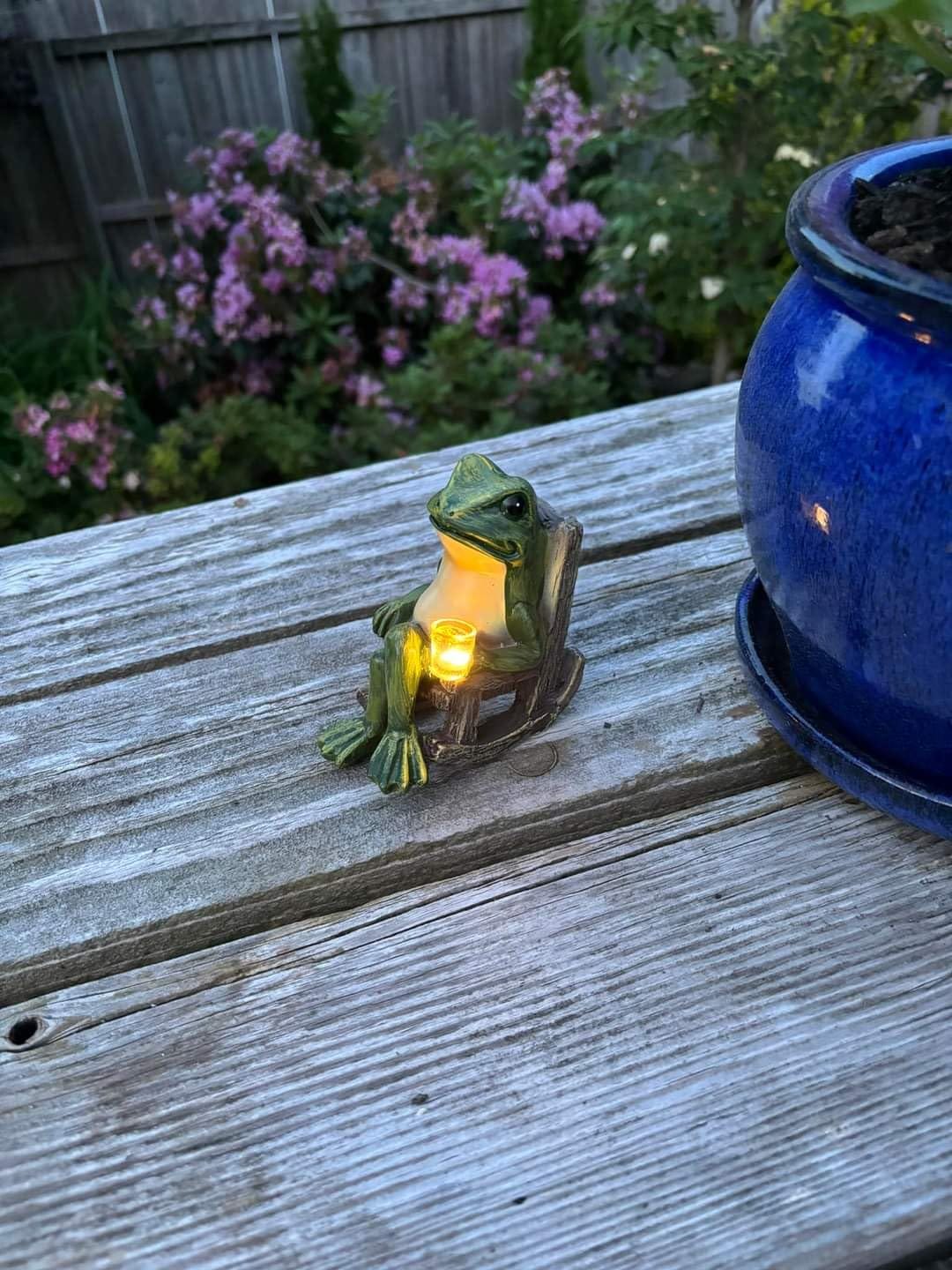 Customer photo review of Solar Mini Frog Garden Statue – Glowing Outdoor Decor